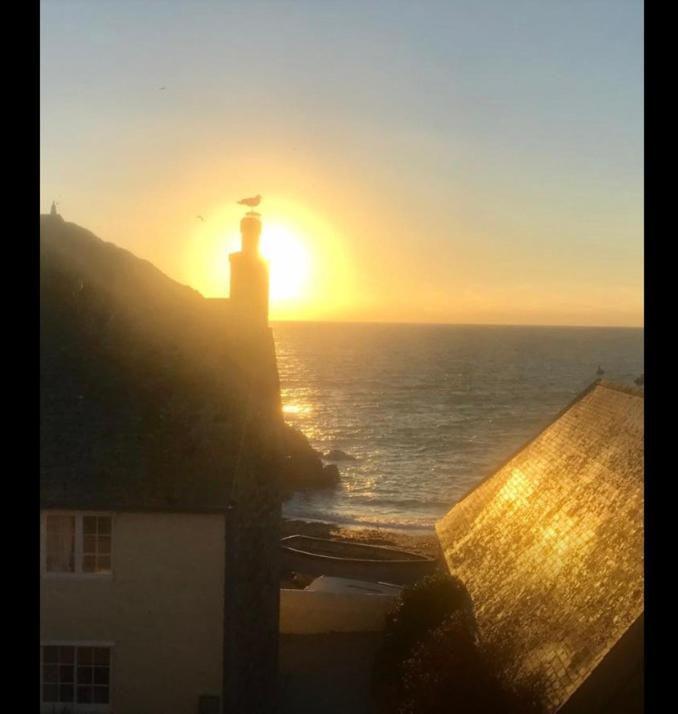 Cadgwith Cove Inn Exteriér fotografie
